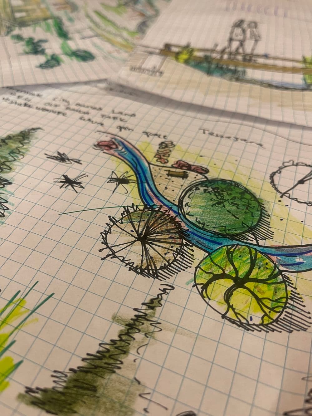 Colorful hand-drawn landscape sketches with plants, water features, and design notes on graph paper.